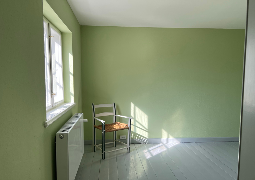 skamowall-mold-moisture-historic-building.jpg8